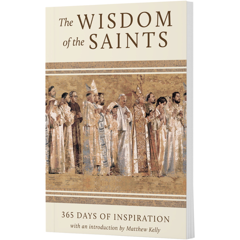 Product image for The Wisdom of the Saints Bulk Order image number 0